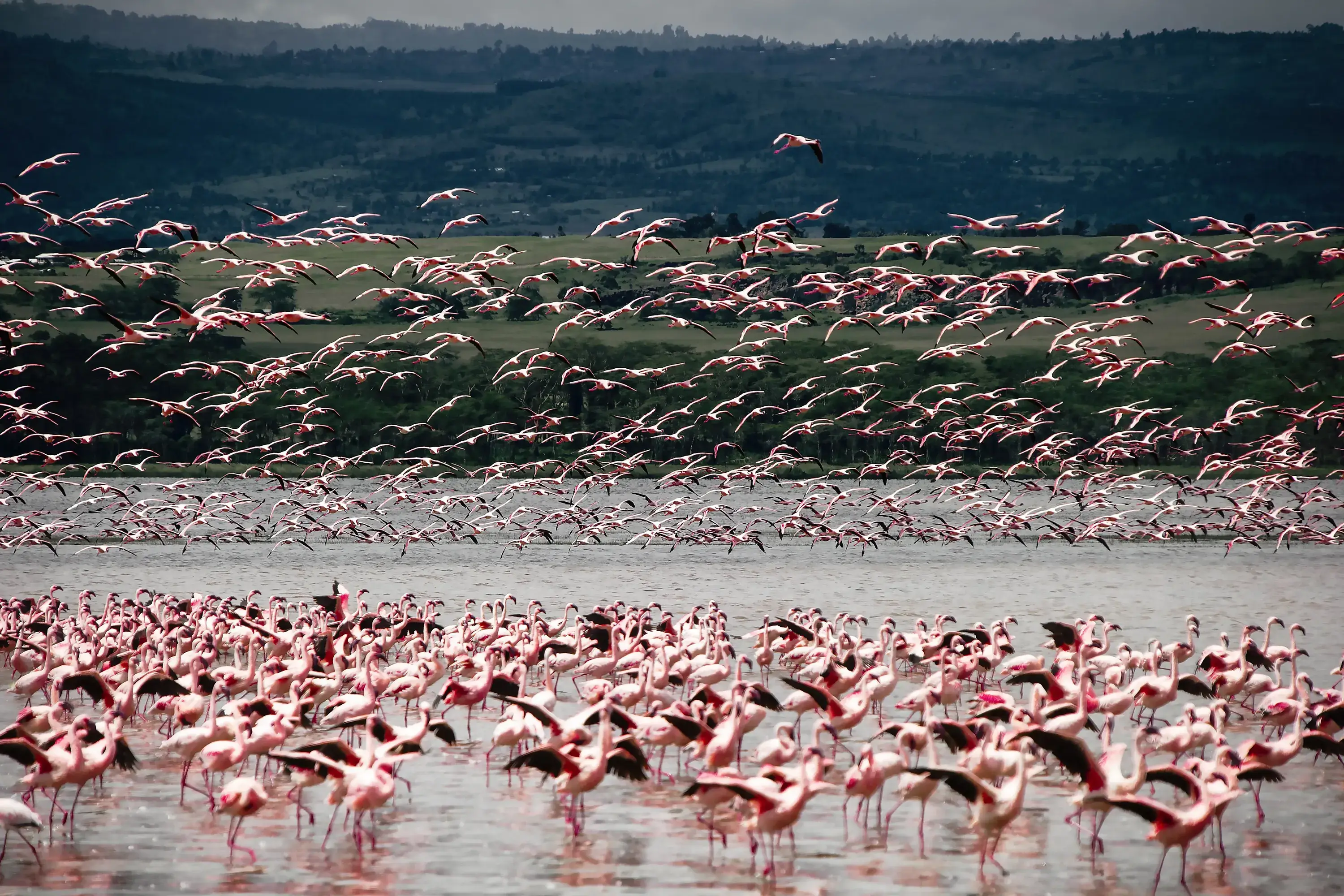 Lake Manyara National Park
