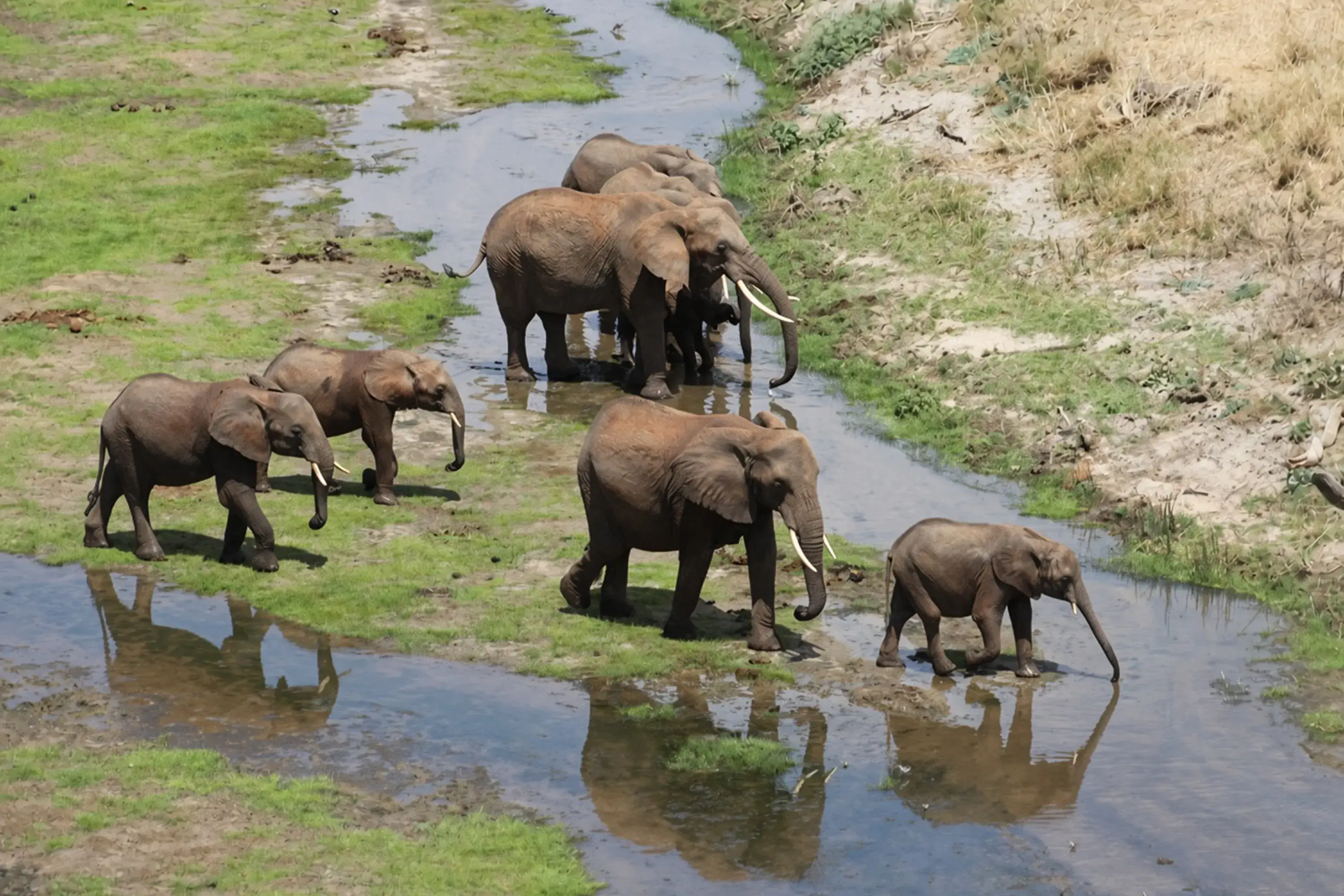Tarangire National Park