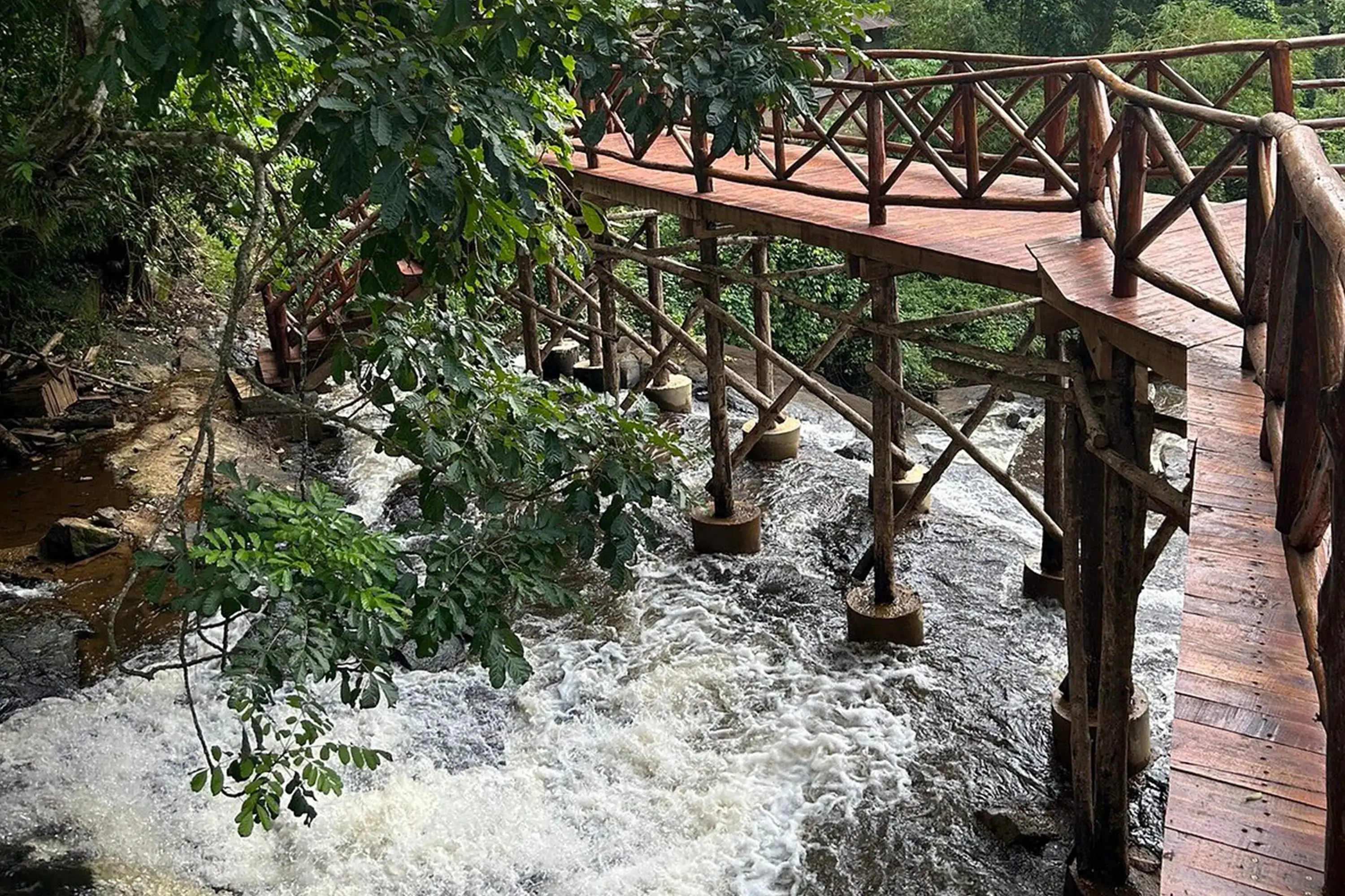 Amani Forest Camp